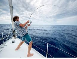 Choosing Between a Sea Fishing Rod and a Bait Caster Rod fishing rod