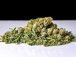 Buy Wholesale Weed: A Complete Guide for Bulk Cannabis Buyers Shake dispensary deals