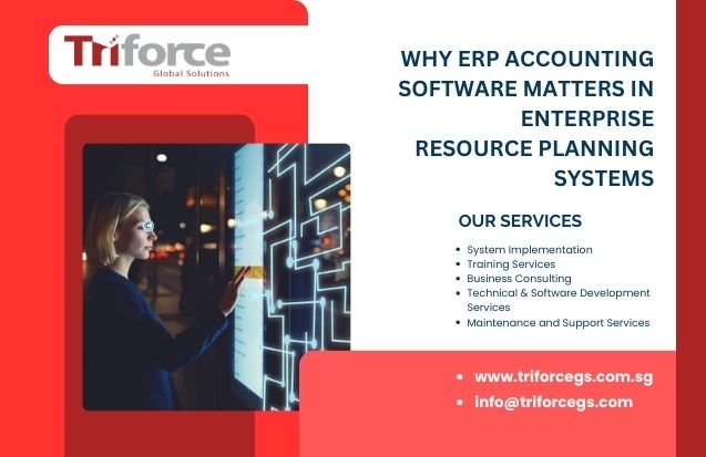 Why ERP Accounting Software Matters in Enterprise Resource Planning Systems Finance team using ERP Accounting Software to track real-time business data