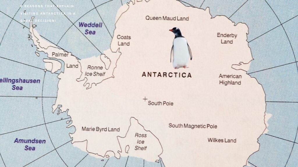 6 Reasons That Explain Visiting Antarctica is a Great Decision! 