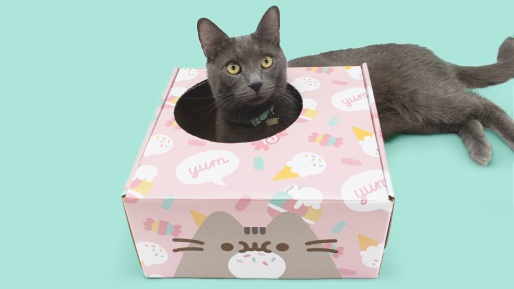 Premium Cat Toy Boxes Wholesale for Retailers Cat toy boxes wholesale