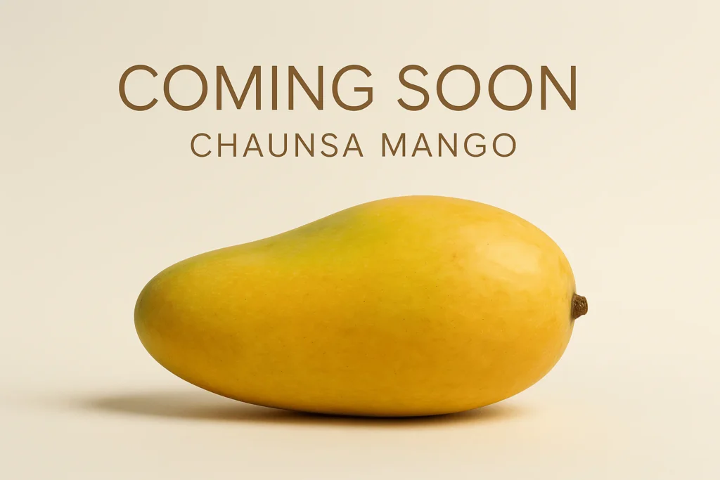 Mango Companies in Pakistan Top Exporters, Brands & Industry Guide 2026 Mango Companies in Pakistan