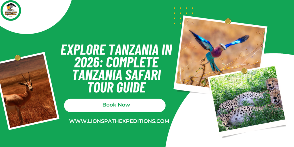 Tanzania In 2026 Complete Tanzania Safari Tour Guide.png
