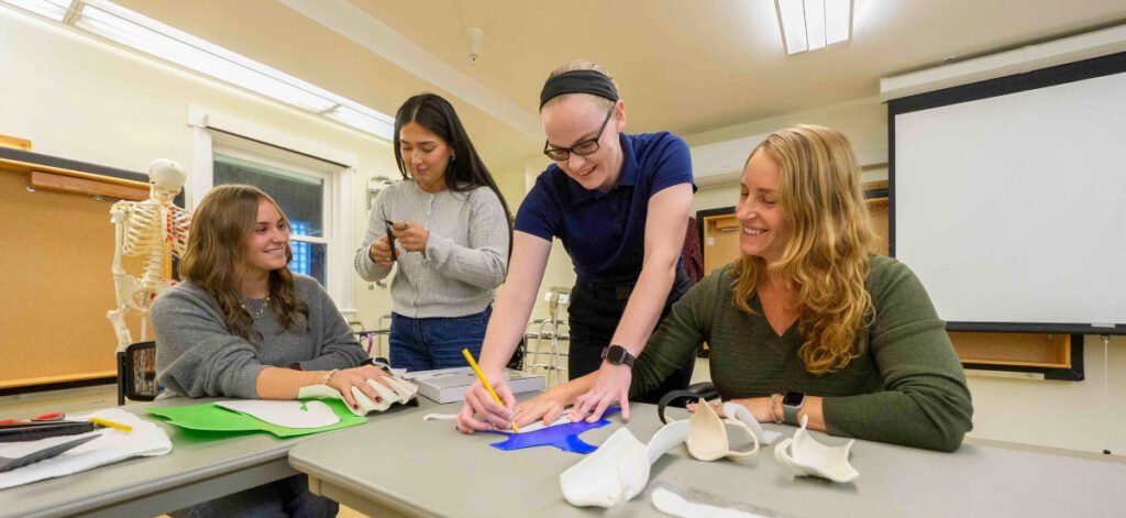 Professional Tourism Assignment Help: Boost Your Academic Success professional tourism assignment help