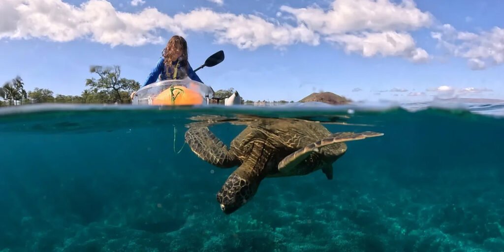 Kayaking in Maui