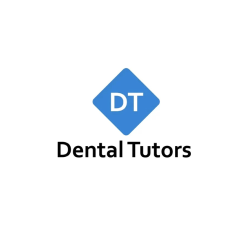 Can You Become a Dental Nurse Without Experience? A Beginner’s Guide