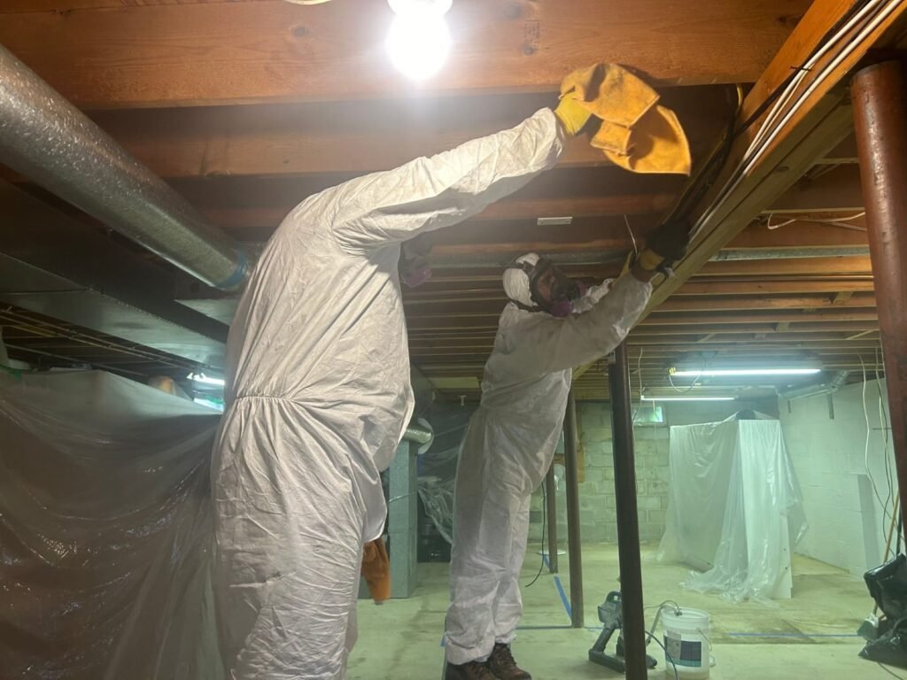 The Role of Mold and Moisture Control in Improving Indoor Air Quality