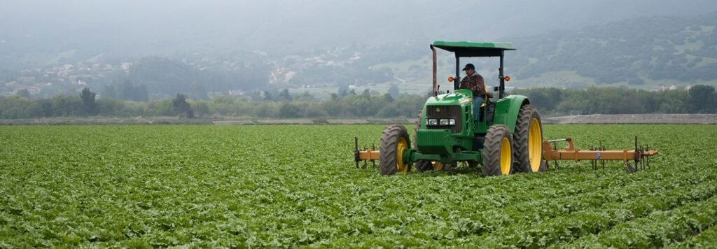 Agricultural CPA tax specialist California