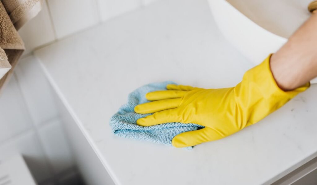 professional maid cleaning services