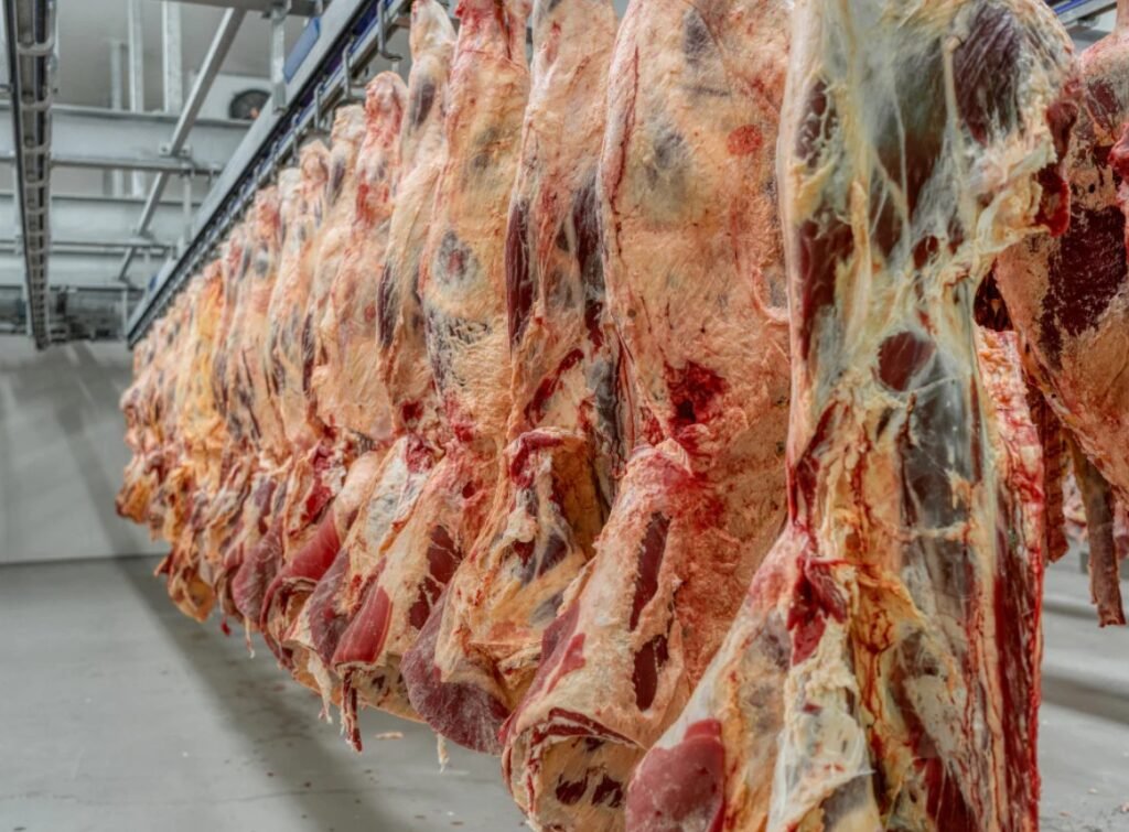 Buying Meat In Bulk Changes How Your Family Eats Screenshot_3