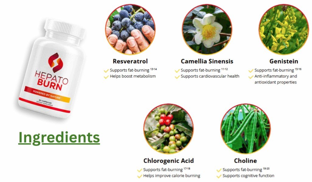 hepatoburn-ingredients