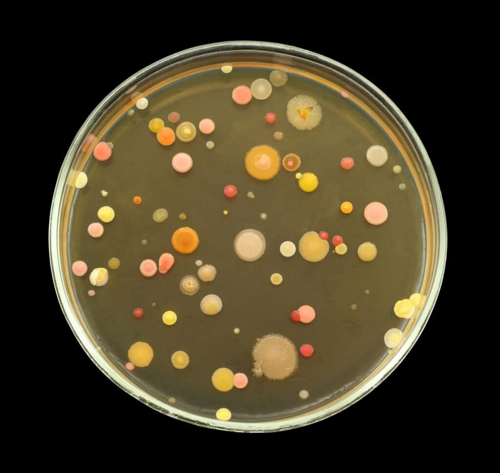 microbiology courses​