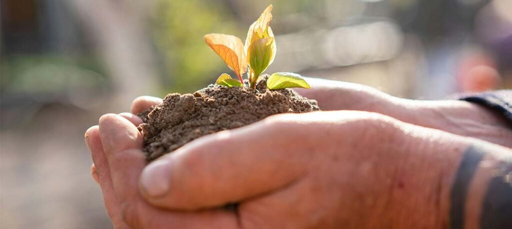 How Do Environmental Changes Impact Wildlife Habitats